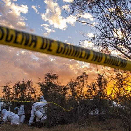 Suman 28 restos humanos hallados en fosas clandestinas de Villamar, Michoacán – El Sol de Toluca