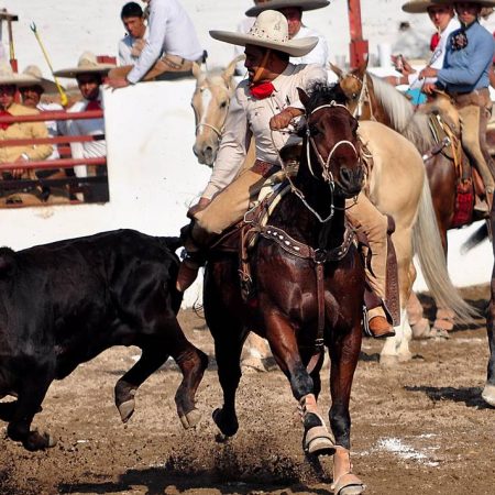 ¿Qué tanto conoces de la charrería, el deporte nacional? – El Sol de Toluca