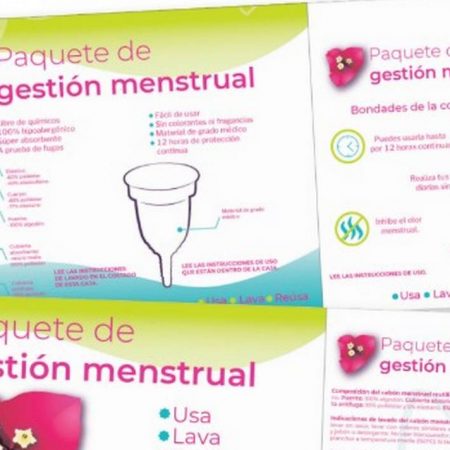 Conafe repartirá kit de higiene menstrual entre alumnas – El Sol de Toluca