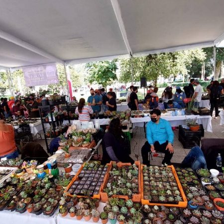 Realizan Primer Festival Ambiental y Plantero edición Toluca – El Sol de Toluca