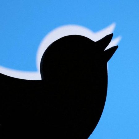 Twitter, motor de protesta mundial – El Sol de Toluca