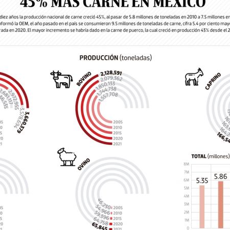 #Data | En la última década se produce 45% más carne en México – El Sol de Toluca