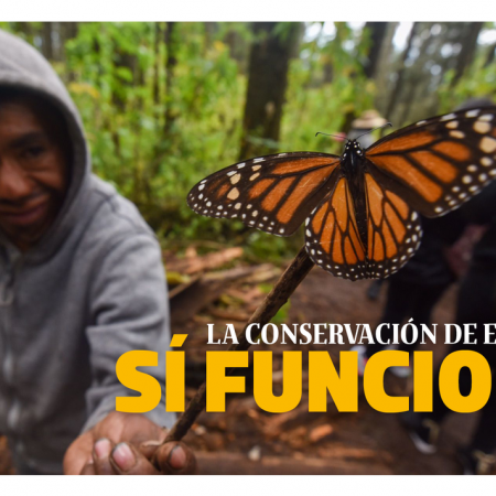 La conservación de especies sí funciona – El Sol de Toluca