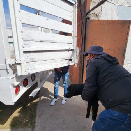 Clausura Propaem centro canino de Zumpango – El Sol de Toluca