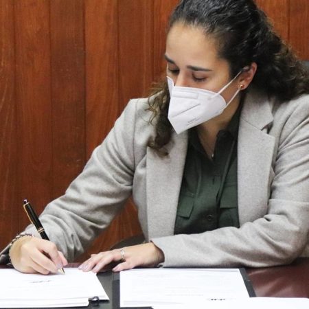 En la elección por la gubernatura no hay posibilidades de fraude: Amalia Pulido – El Sol de Toluca