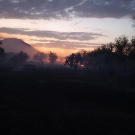 Se registra incendio de pastizales en la Zona Arqueológica de Teotihuacán  – El Sol de Toluca