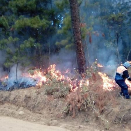 Se preparan para temporada de incendios en Amanalco – El Sol de Toluca
