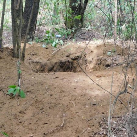 Se repite la historia: fosas en medio del bosque de Ocoyoacac – El Sol de Toluca