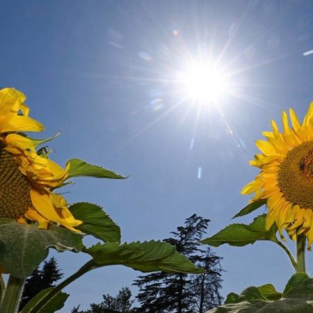 ¿Qué es y cuándo ocurrirá el equinoccio de primavera? – El Sol de Toluca