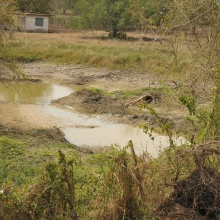 Se alistan 14 estados para combatir sequía – El Sol de Toluca