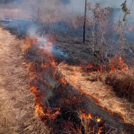 Incendios han afectado mil 800 hectáreas de zona forestal del Edomex en 2023 – El Sol de Toluca
