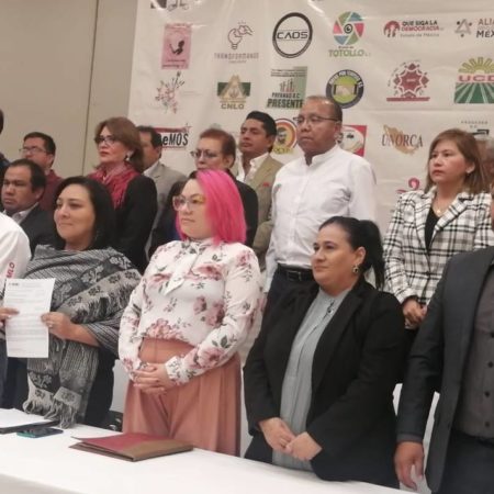 46 organizaciones de Edomex conforman red estatal de Observadores Electorales – El Sol de Toluca