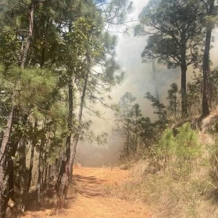 Incendios forestales en el valle de Toluca – El Sol de Toluca