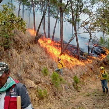 Incendios forestales agobian a Temascaltepec  – El Sol de Toluca